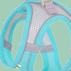 Mint Green mesh cat harness