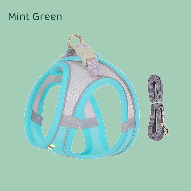Escapaw mesh cat harness and matching leash set in mint green