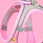 Pink mesh cat harness