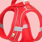 Red mesh cat harness