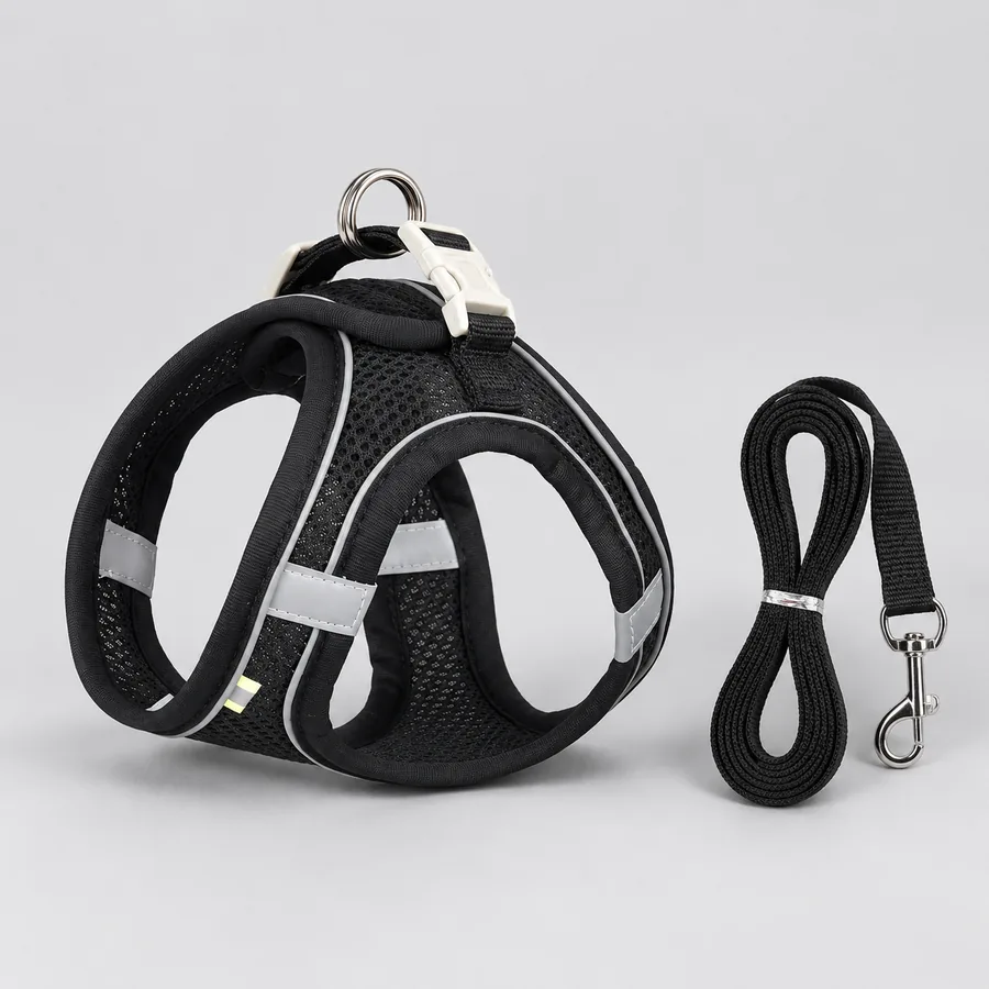 The black Escapaw mesh vest and its black leash photographed on a light studio surface, the cream buckle and silver rings visible